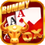 rummy funds icon