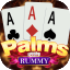 344 rummy icon
